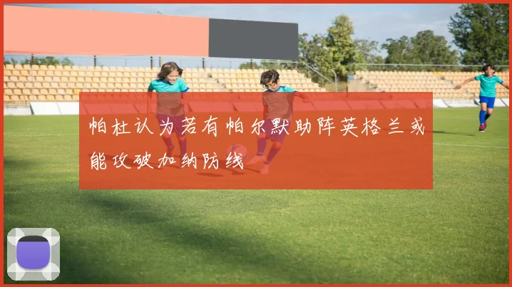 帕杜认为若有帕尔默助阵英格兰或能攻破加纳防线